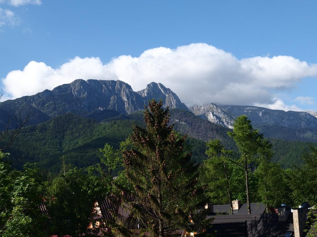 Hôtel Lipowy Dwor à Zakopane Extérieur photo